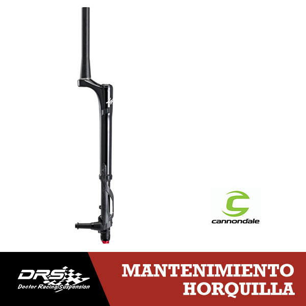 Lefty Completo/200h DRS Racing Suspension