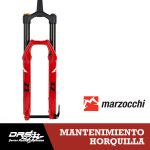 Marzocchi Z1 (Desde 2020)
